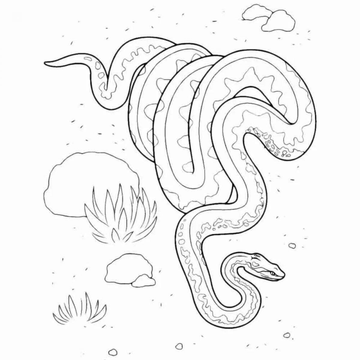 Kaa bright coloring page