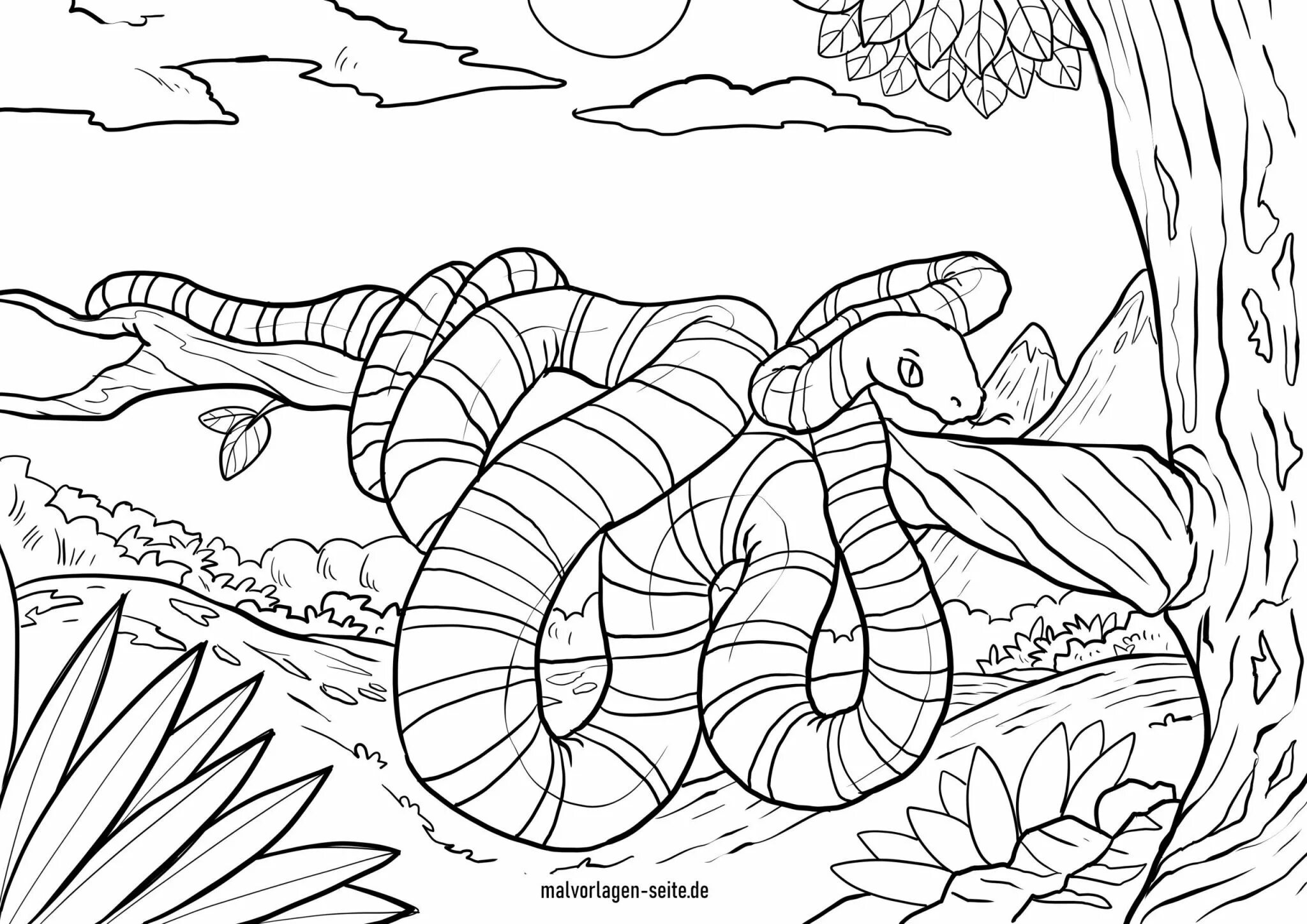 Coloring page charming kaa
