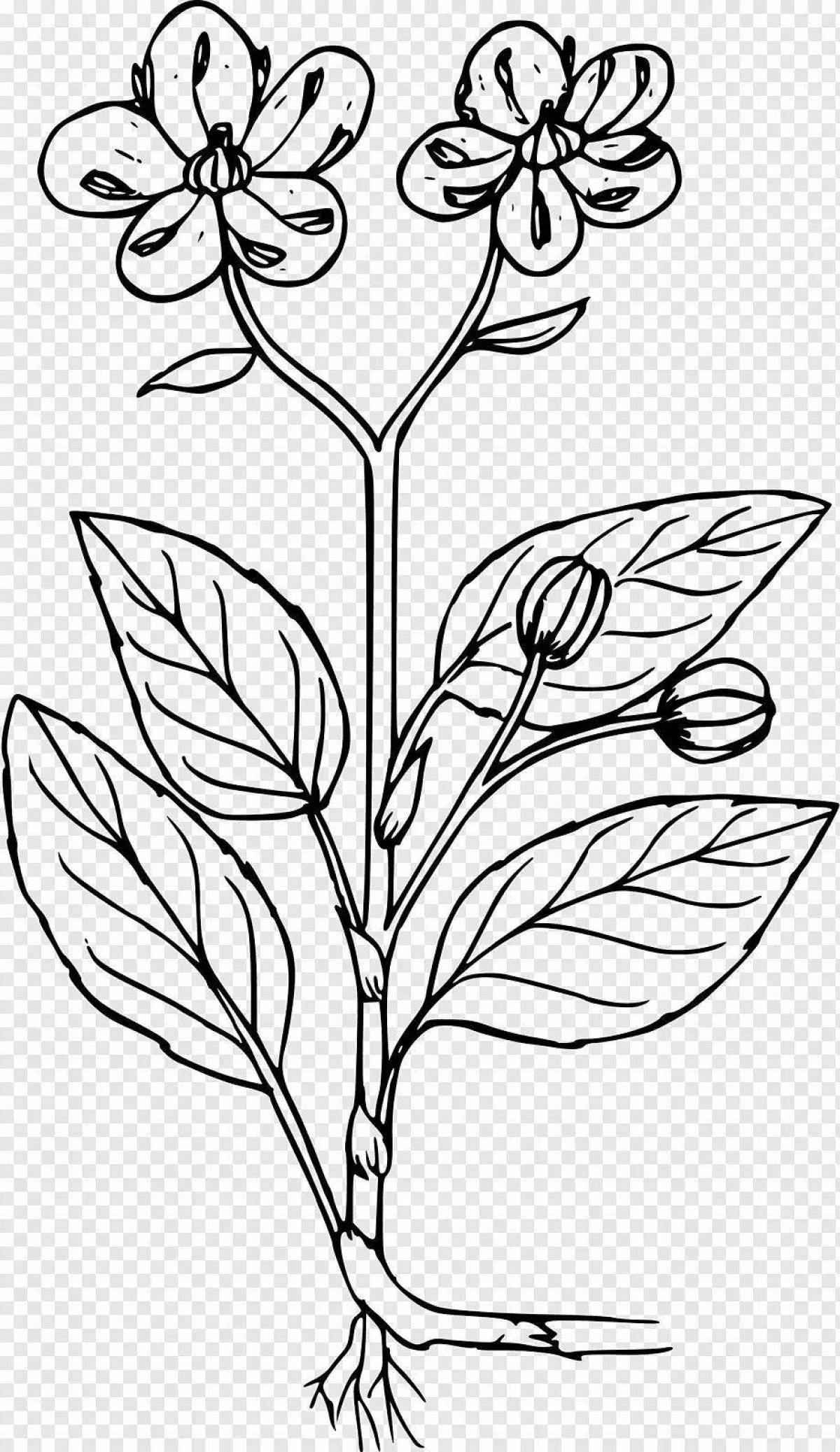 Attractive stem coloring page