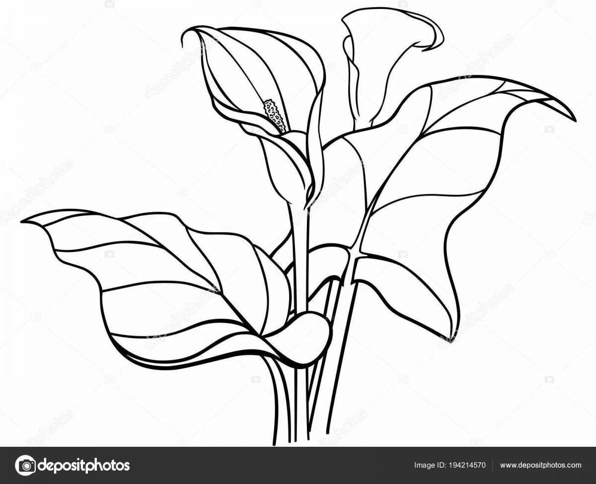 Coloured spectacular stem coloring page