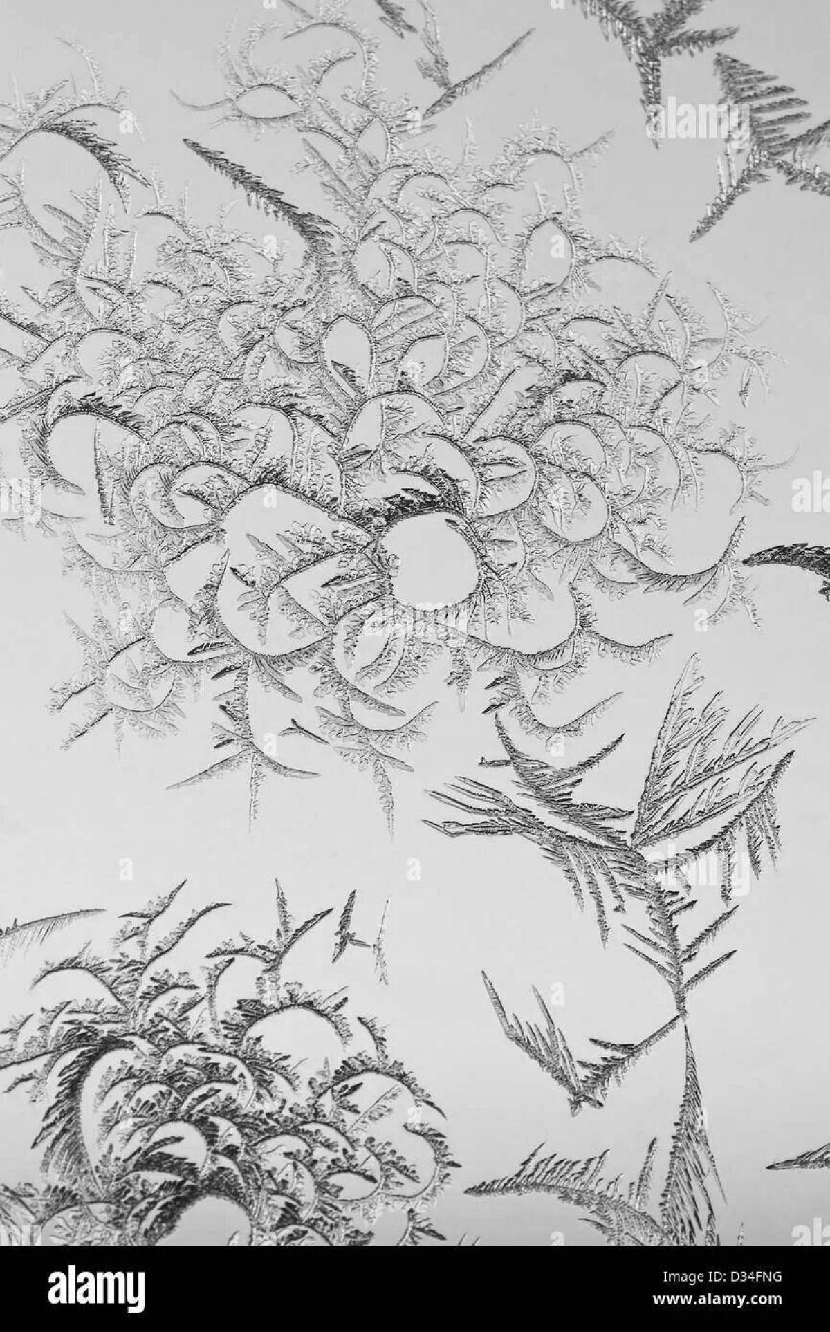 Delightful coloring frost