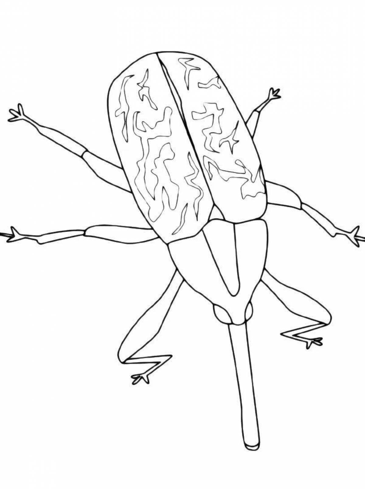 Intriguing coloring page bug