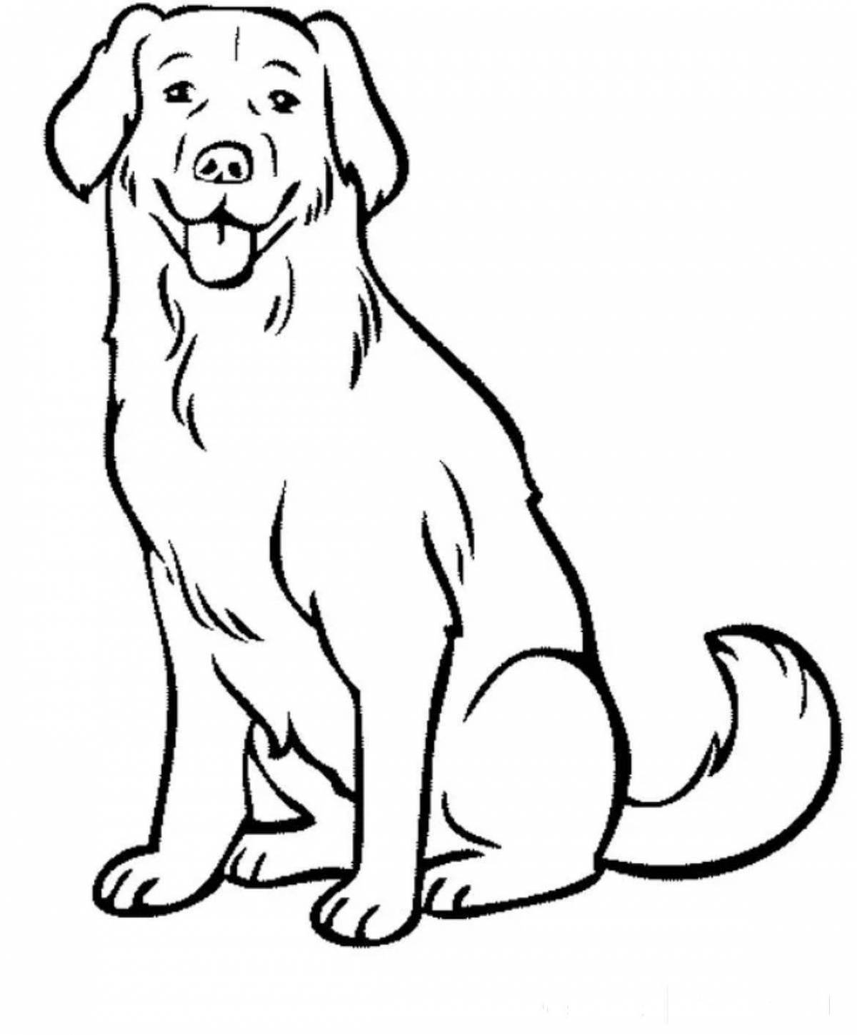 Funny chink coloring page