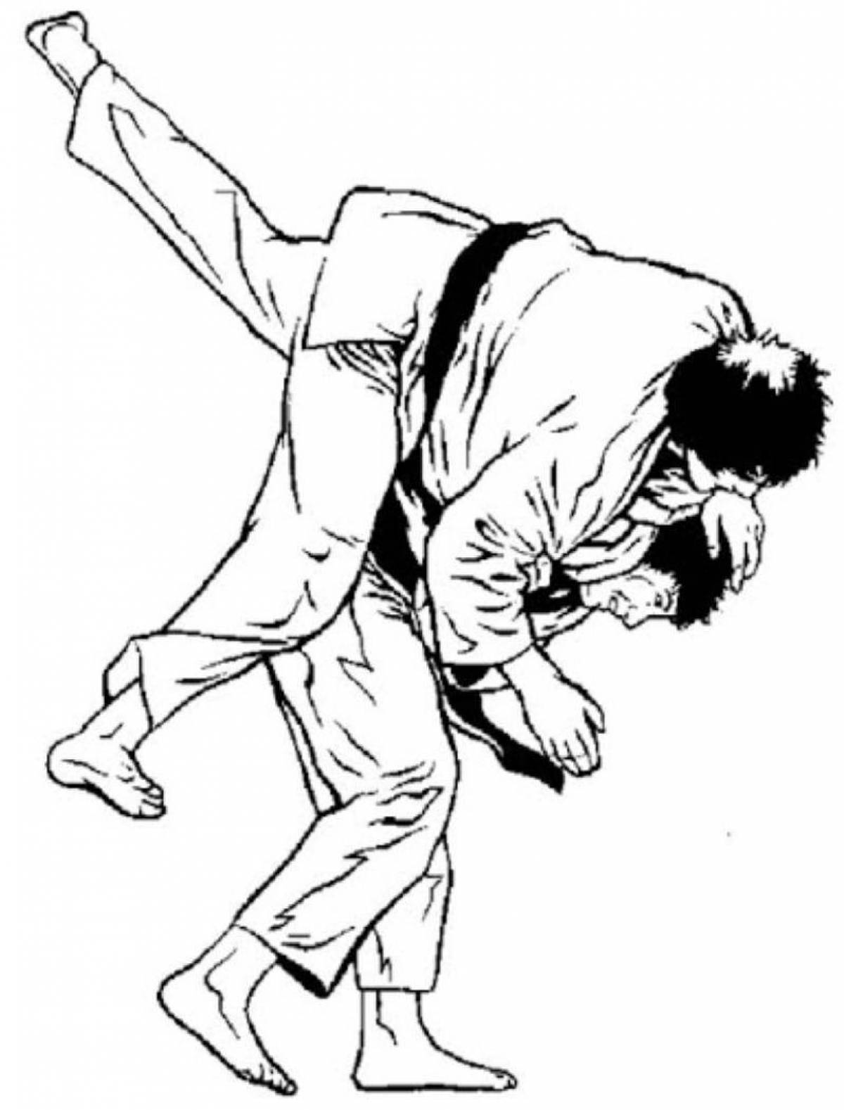 Coloring big judoka