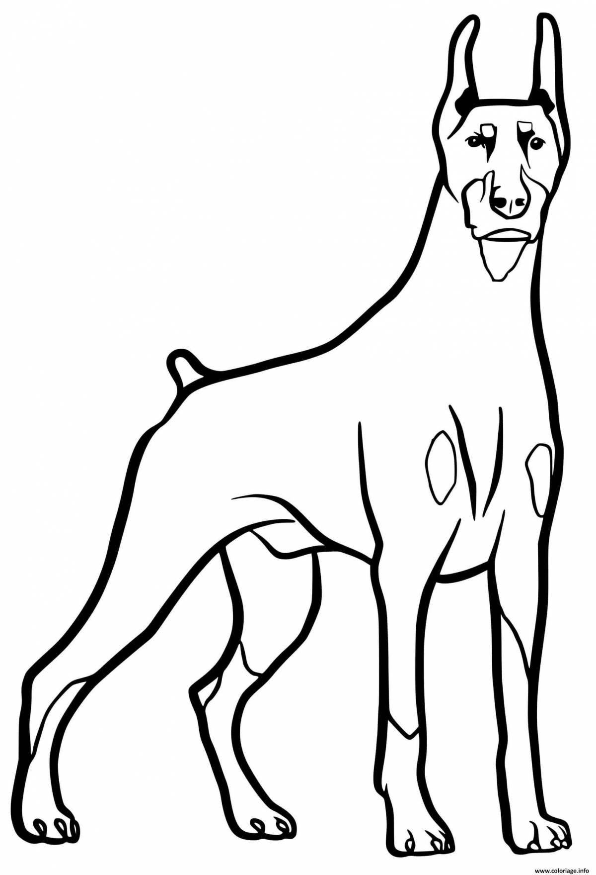 Coloring page playful miniature pinscher