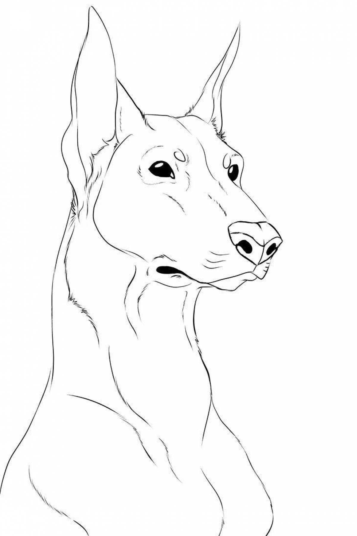 Majestic miniature pinscher coloring page
