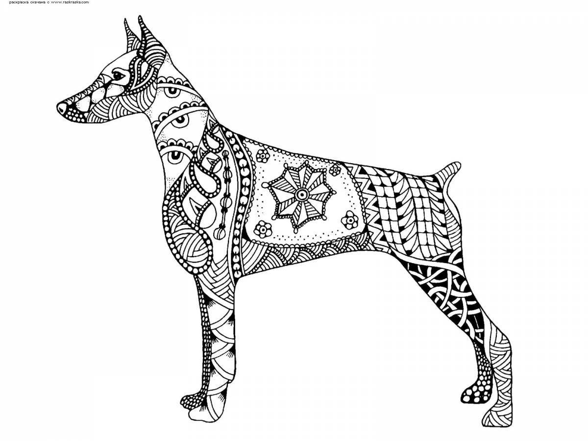 Fine miniature pinscher coloring page