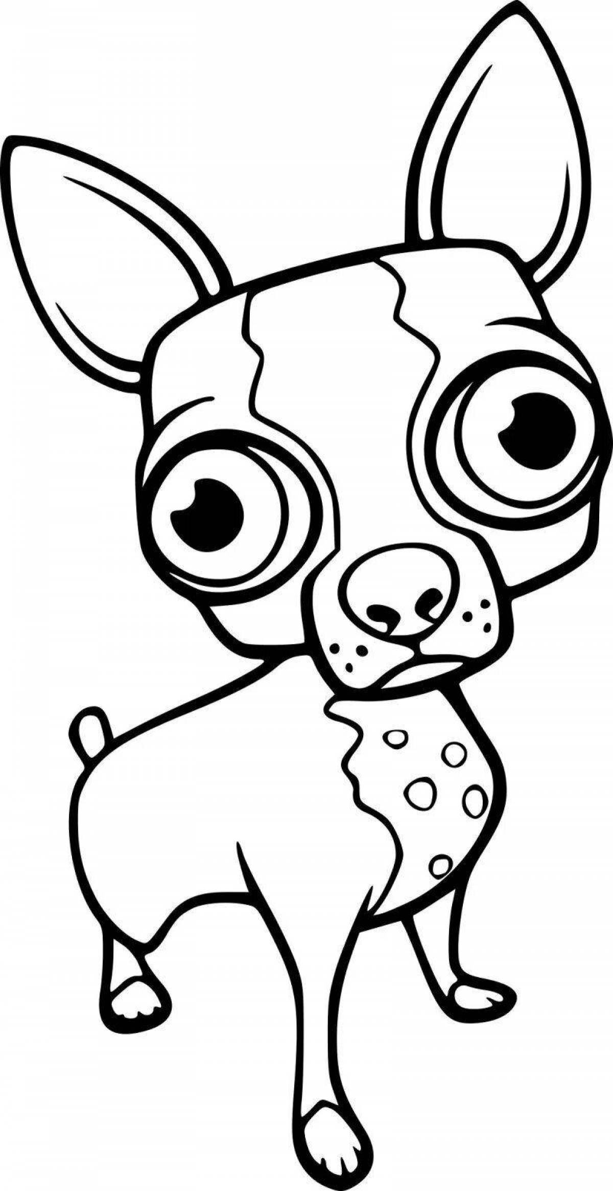 Coloring page funny miniature pinscher