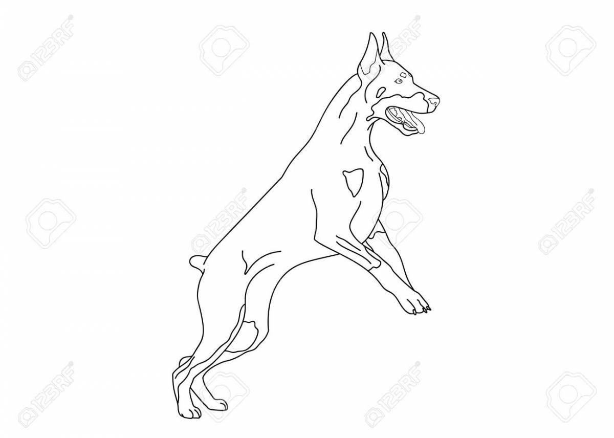 Animated miniature pinscher coloring page