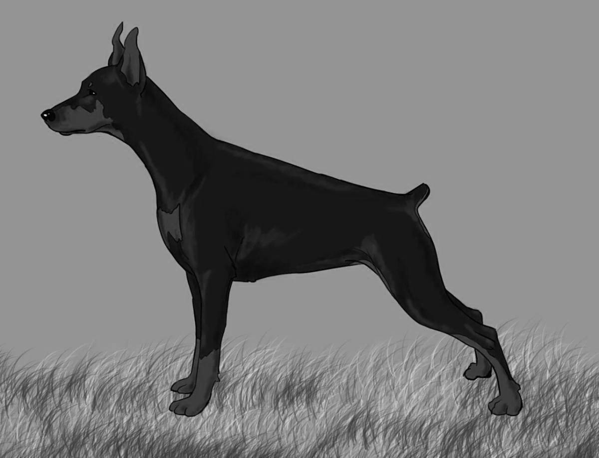 Rampant Miniature Pinscher coloring page