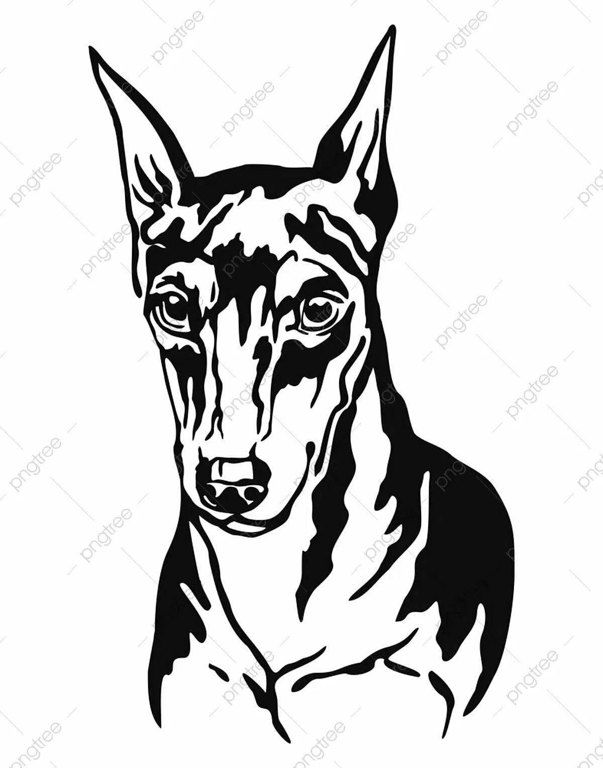 Coloring page dazzling miniature pinscher