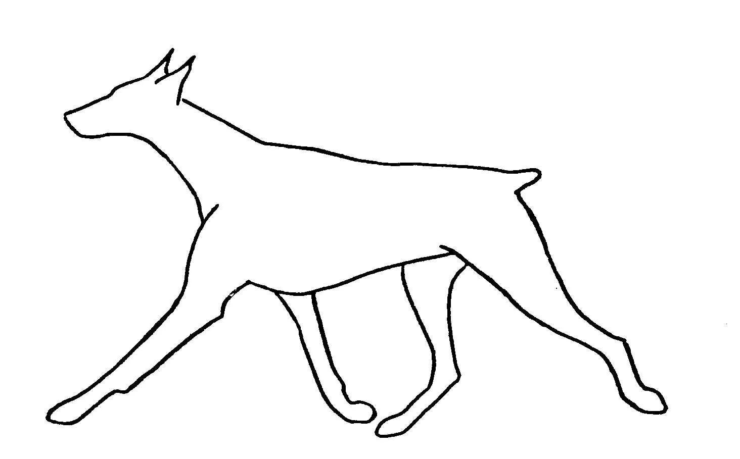 Amazing miniature pinscher coloring book