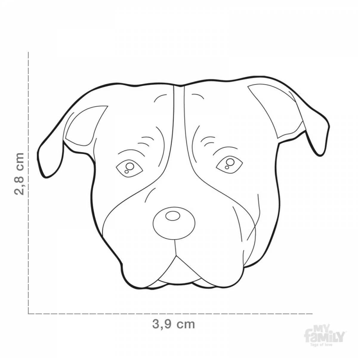Amstaff bright coloring page