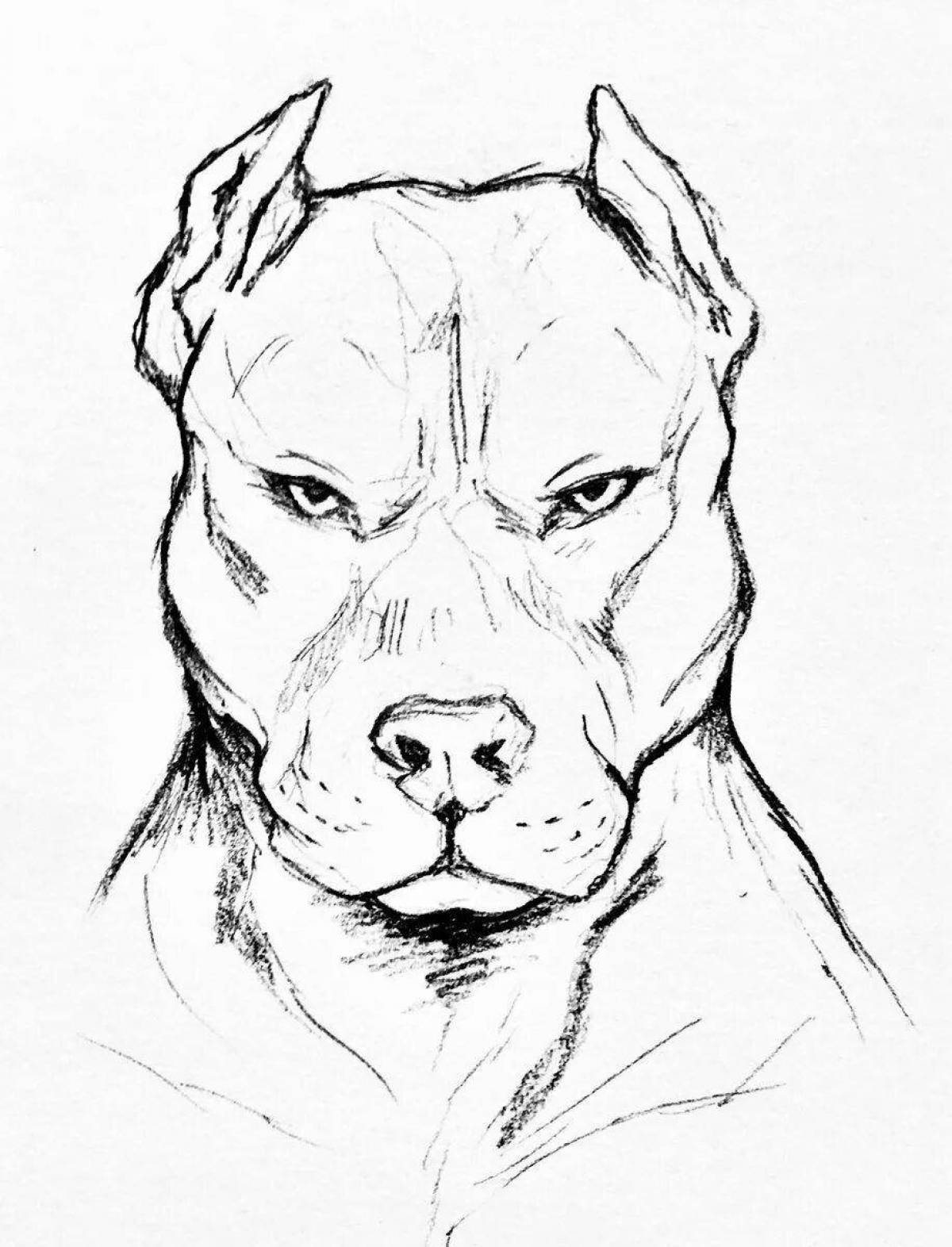 Glowing amstaff coloring page