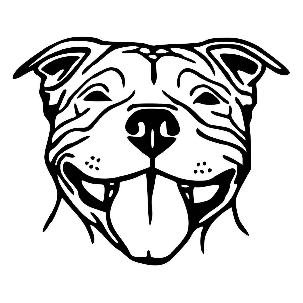 Beautiful amstaff coloring page