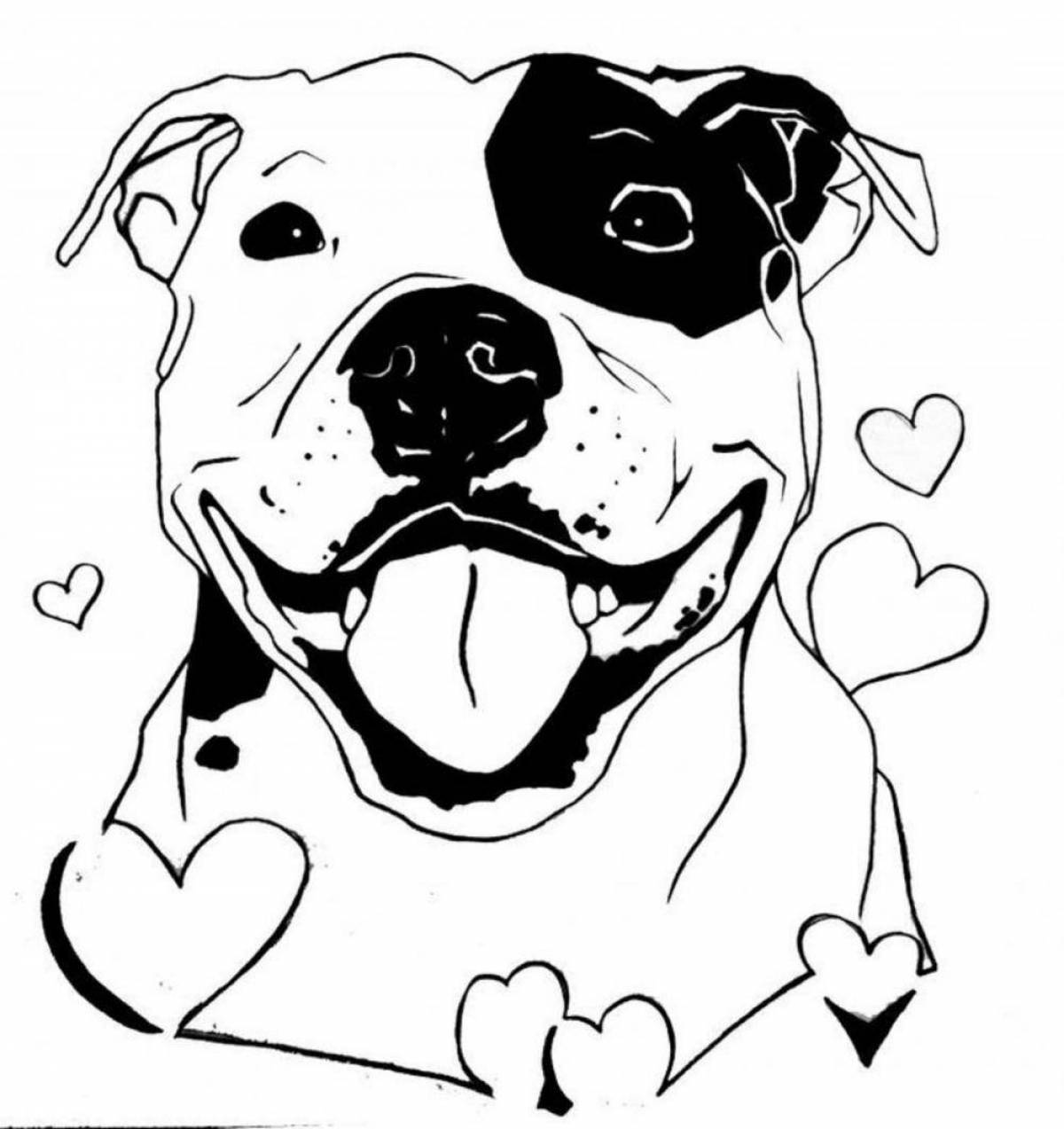 Amstaff awesome coloring book