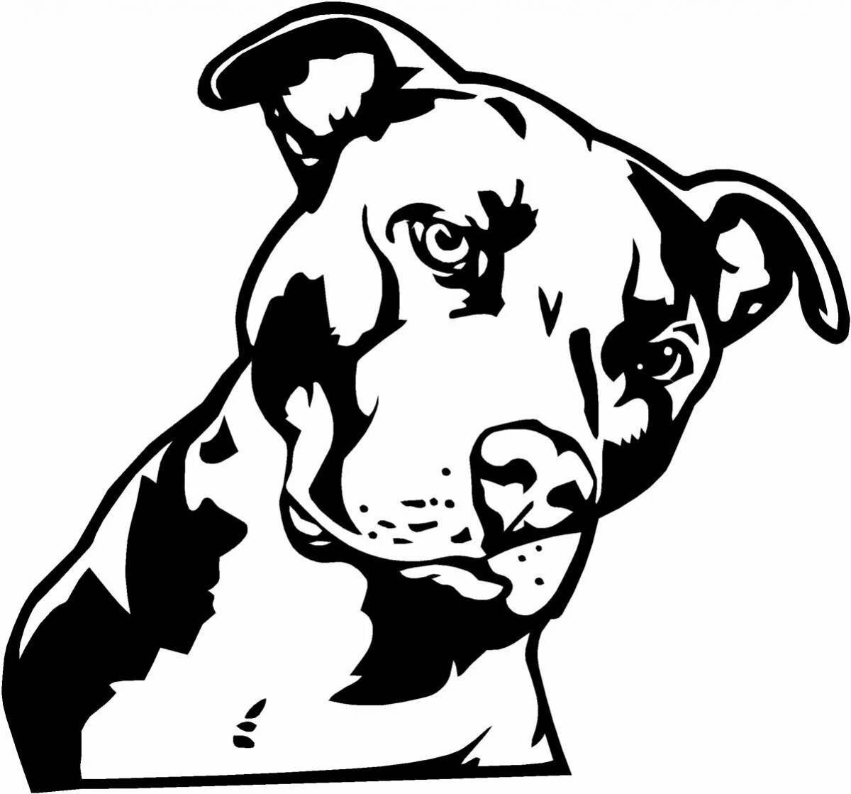 Fantastic amstaff coloring book