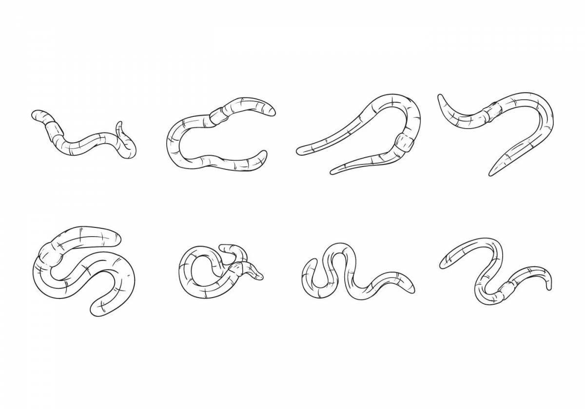 Sweet coloring worms