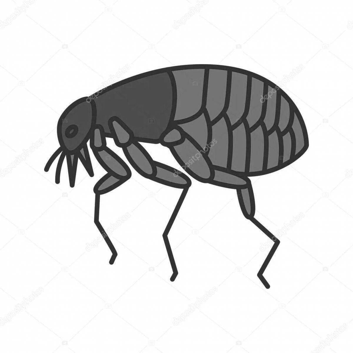 Fun flea coloring book