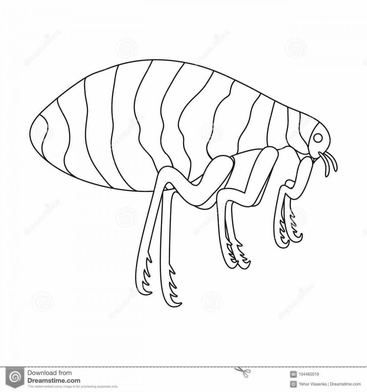 Luminous flea coloring book