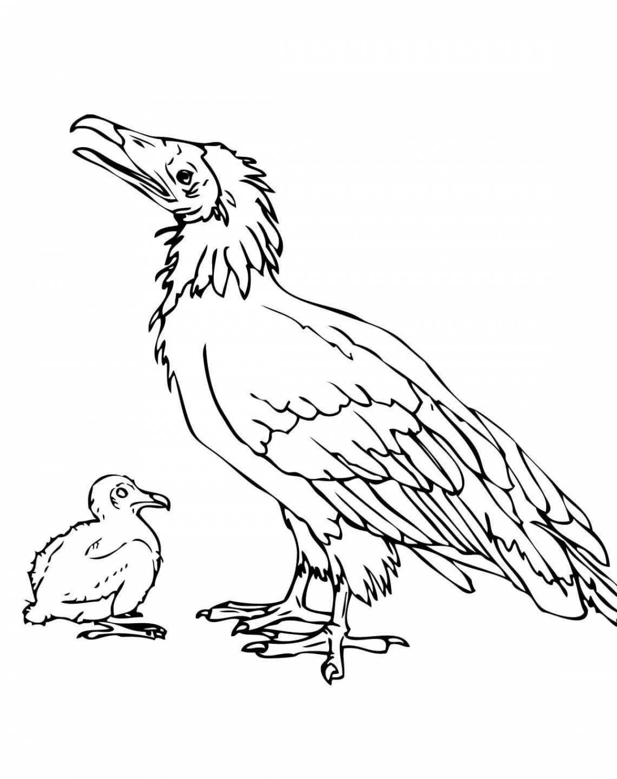 Раскраска Игривая раскраска додо