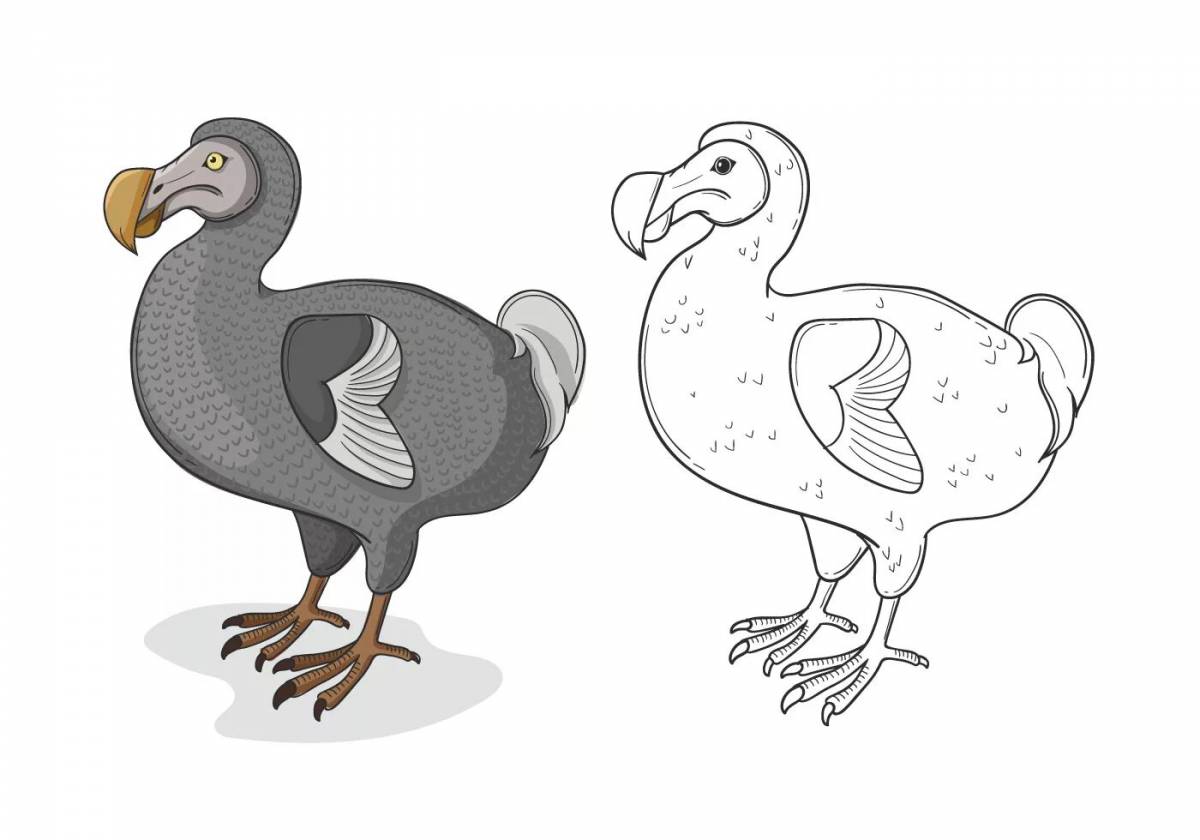 Great dodo coloring