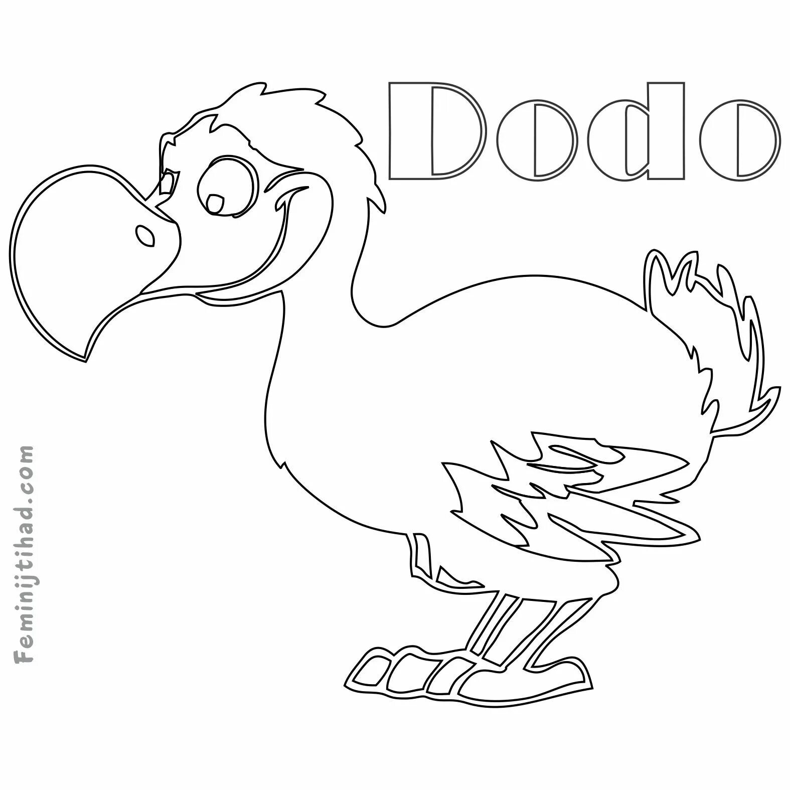 Dodo #2