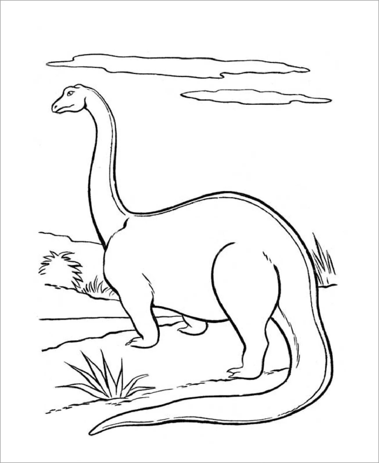 Coloring page happy Apatosaurus