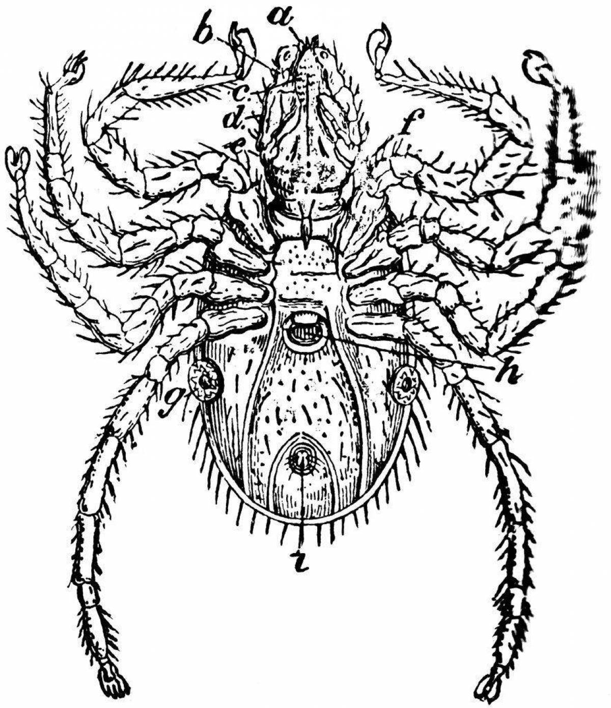Radiant mite coloring page