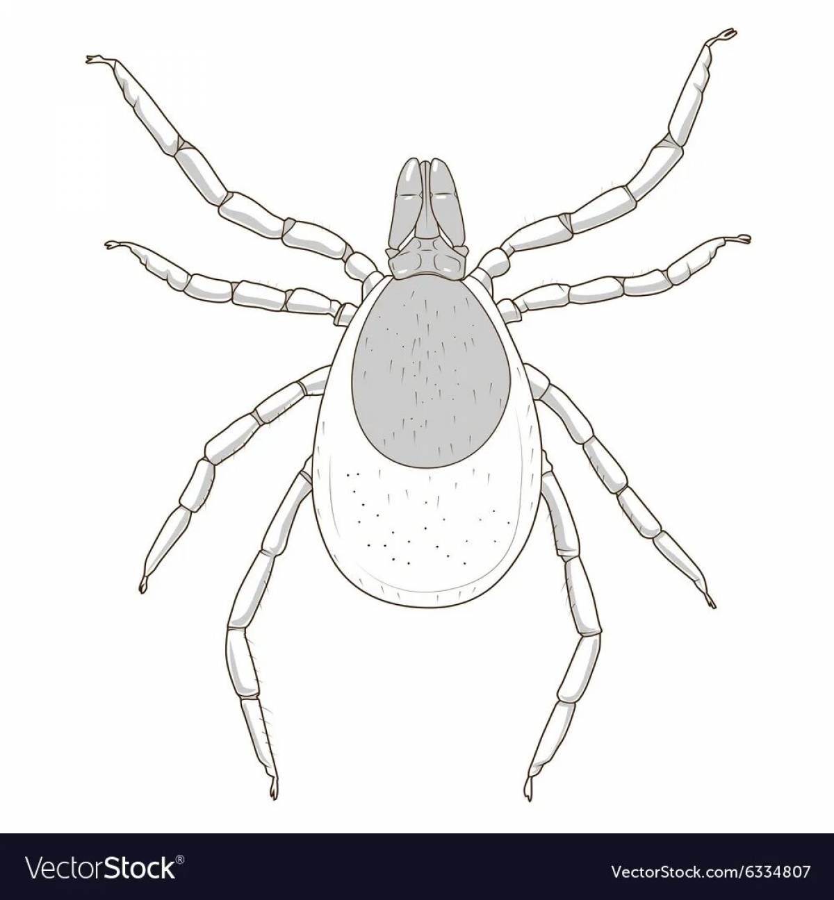 Beautiful tick coloring page