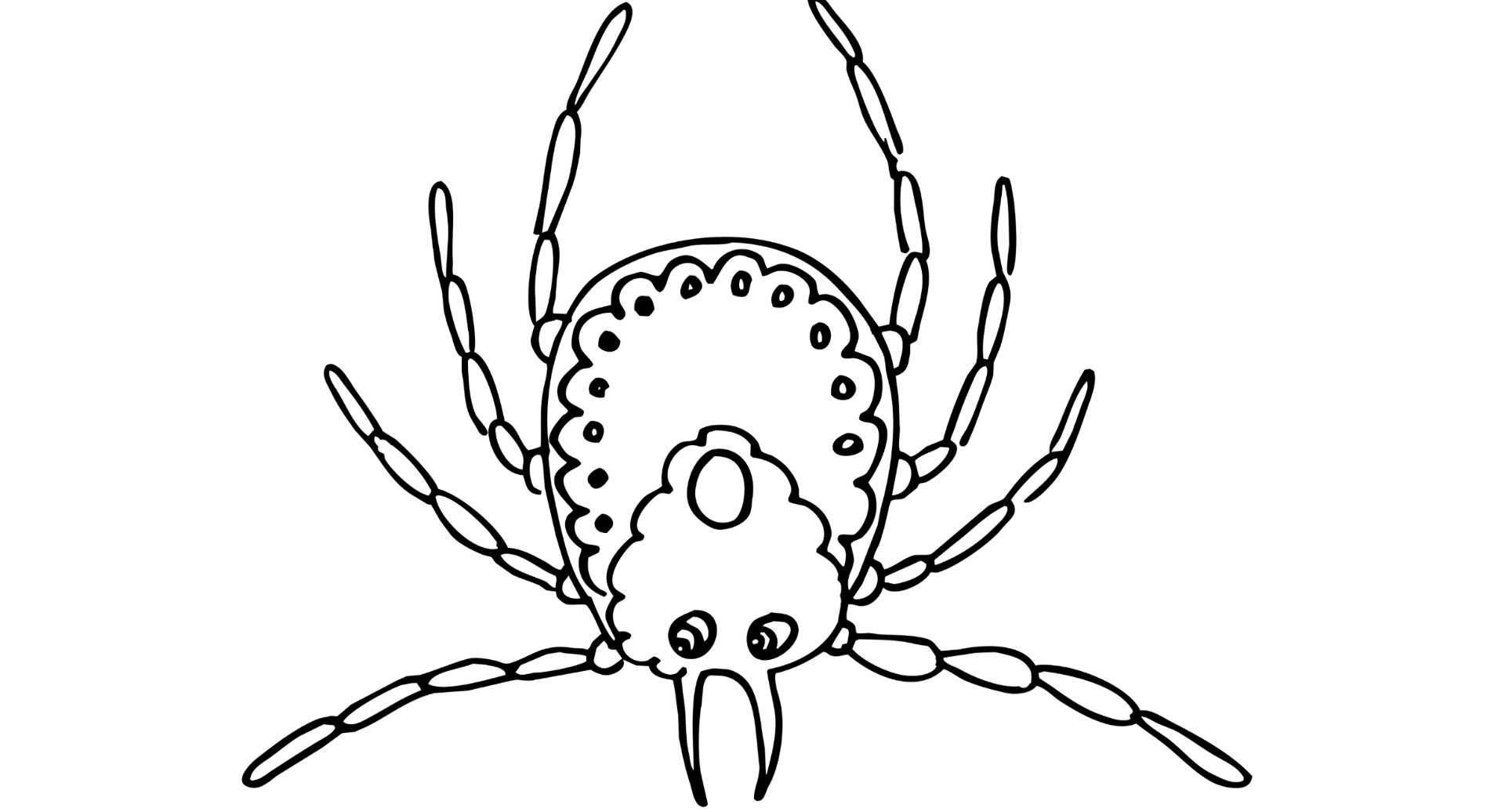 Coloring book unusual mite