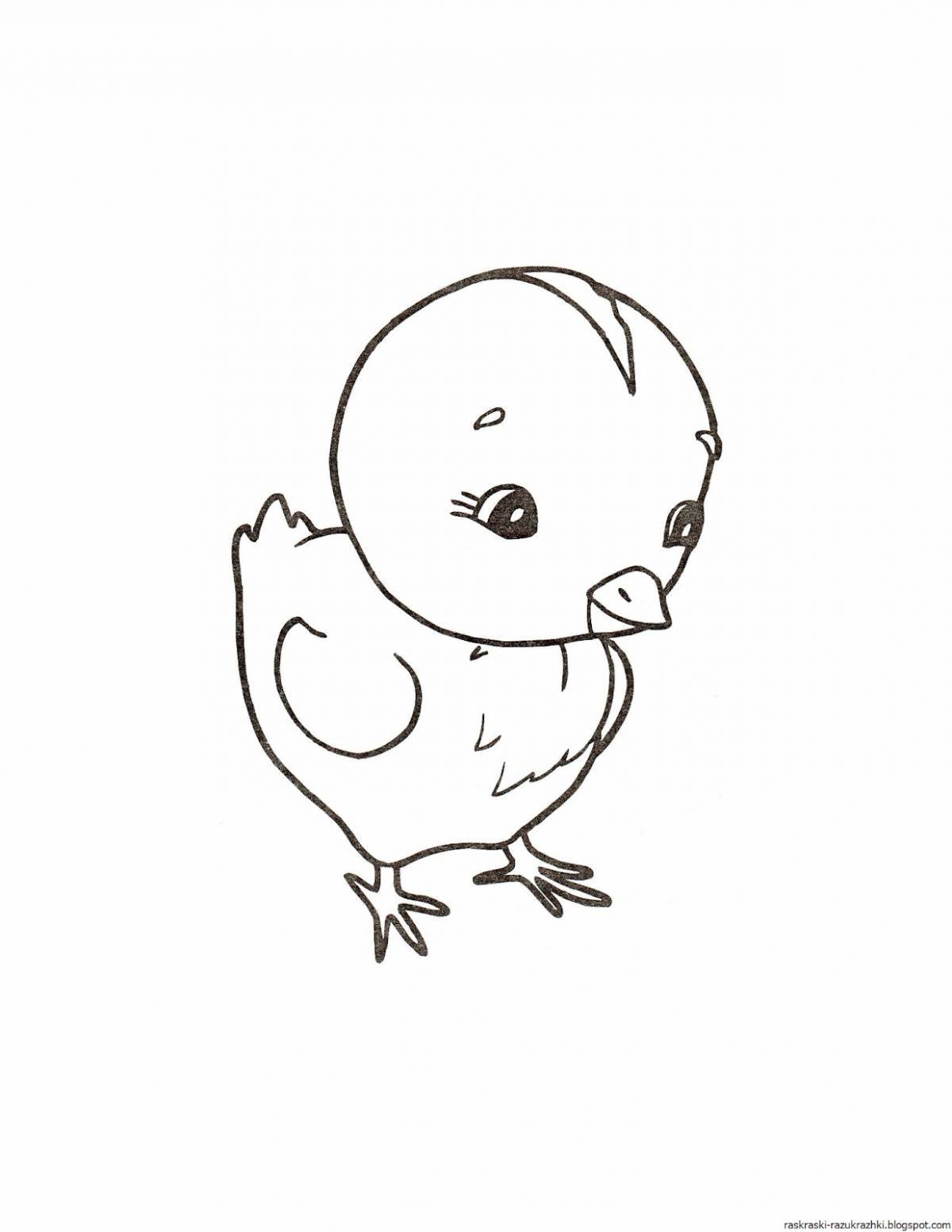 Coloring cute chick for kids