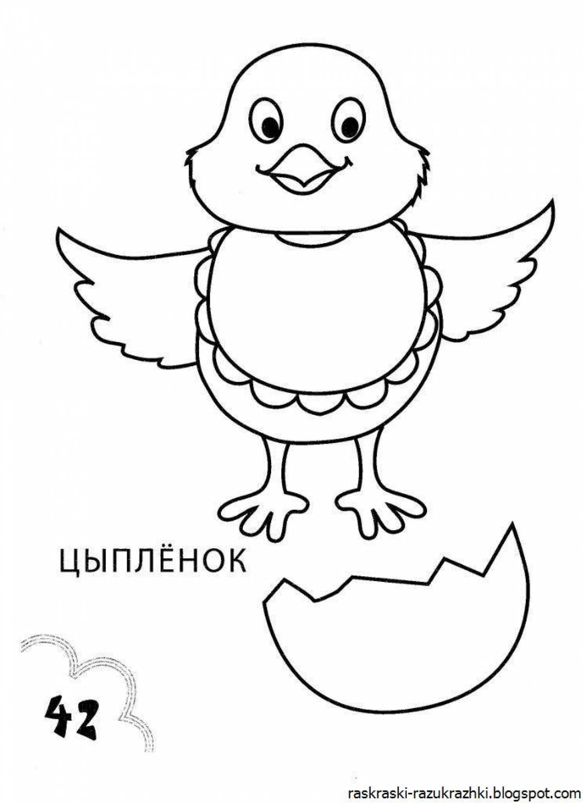 Sunny chicken coloring book for kids