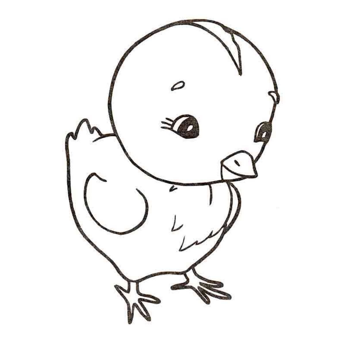 Baby chick #2
