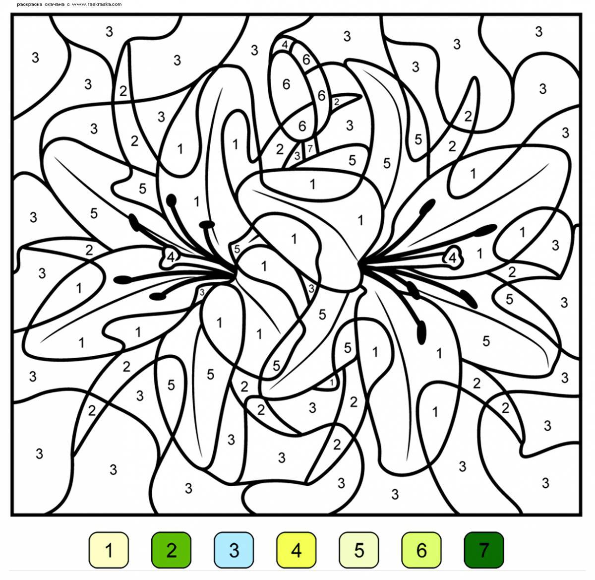 Intriguing coloring book with numbers
