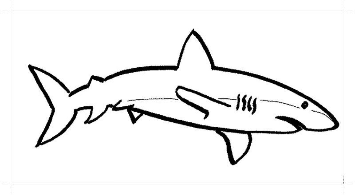 Привлекательная страница раскраски акулы