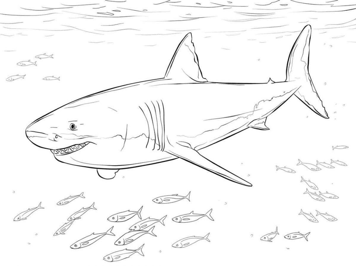 Animated shark coloring page