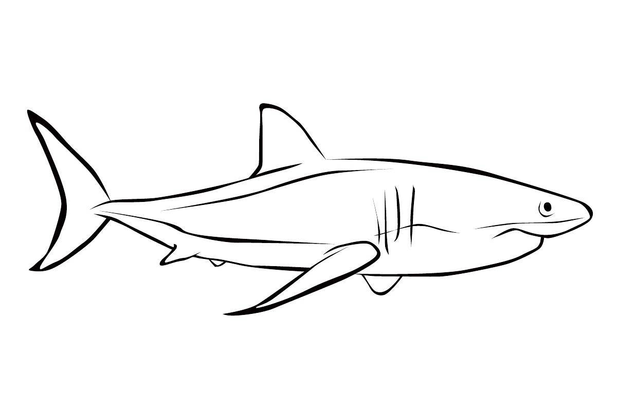 Amazing shark coloring page