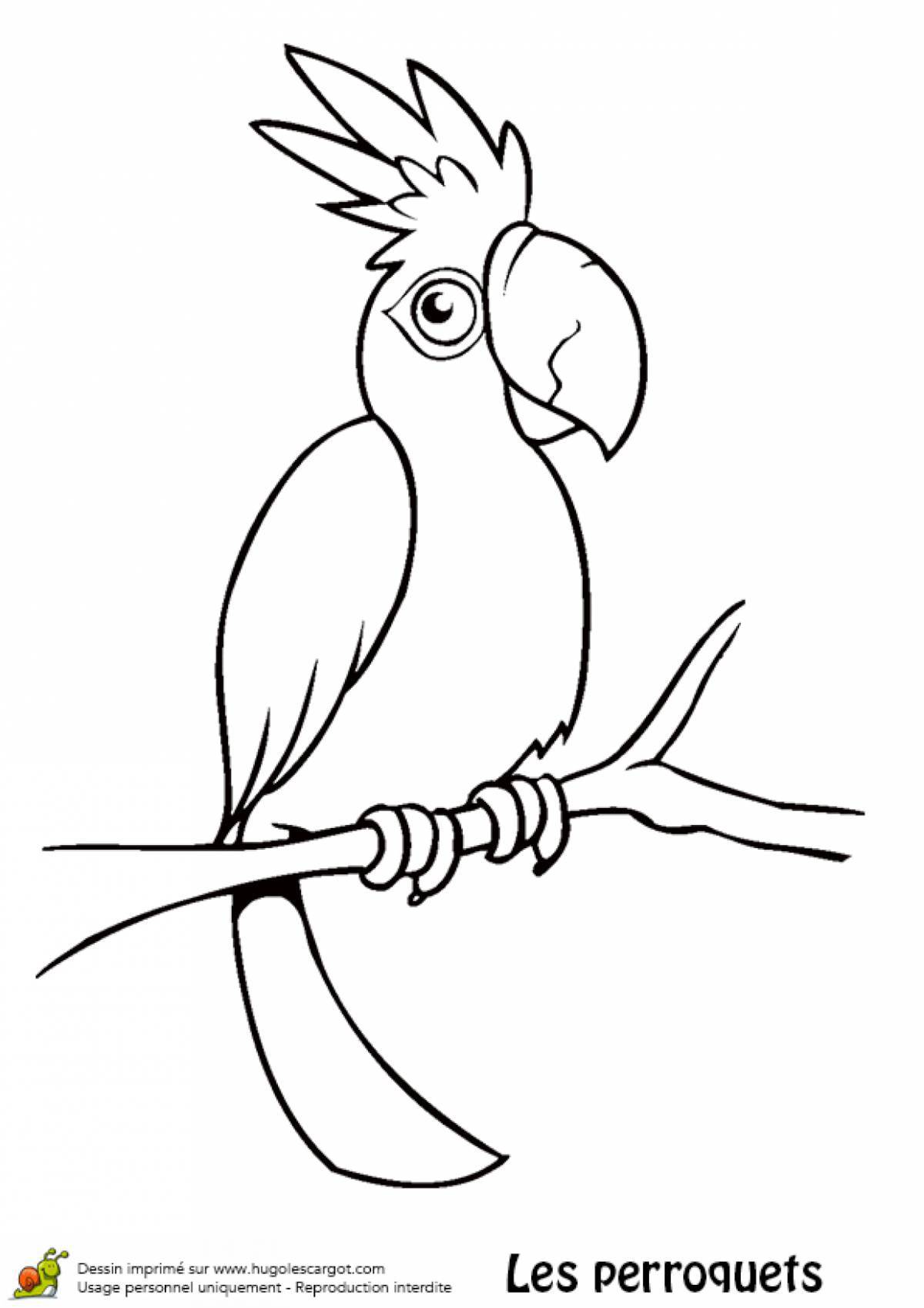 Живой попугай раскраски для детей