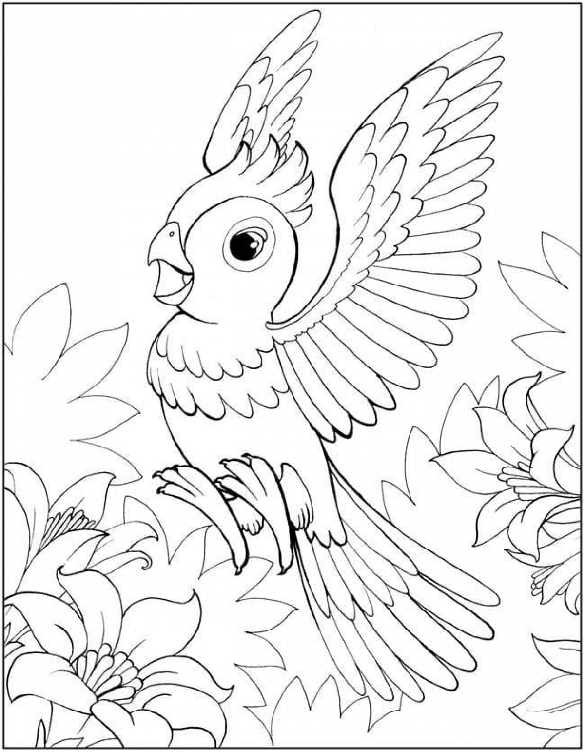 Wonderful parrot coloring book for kids