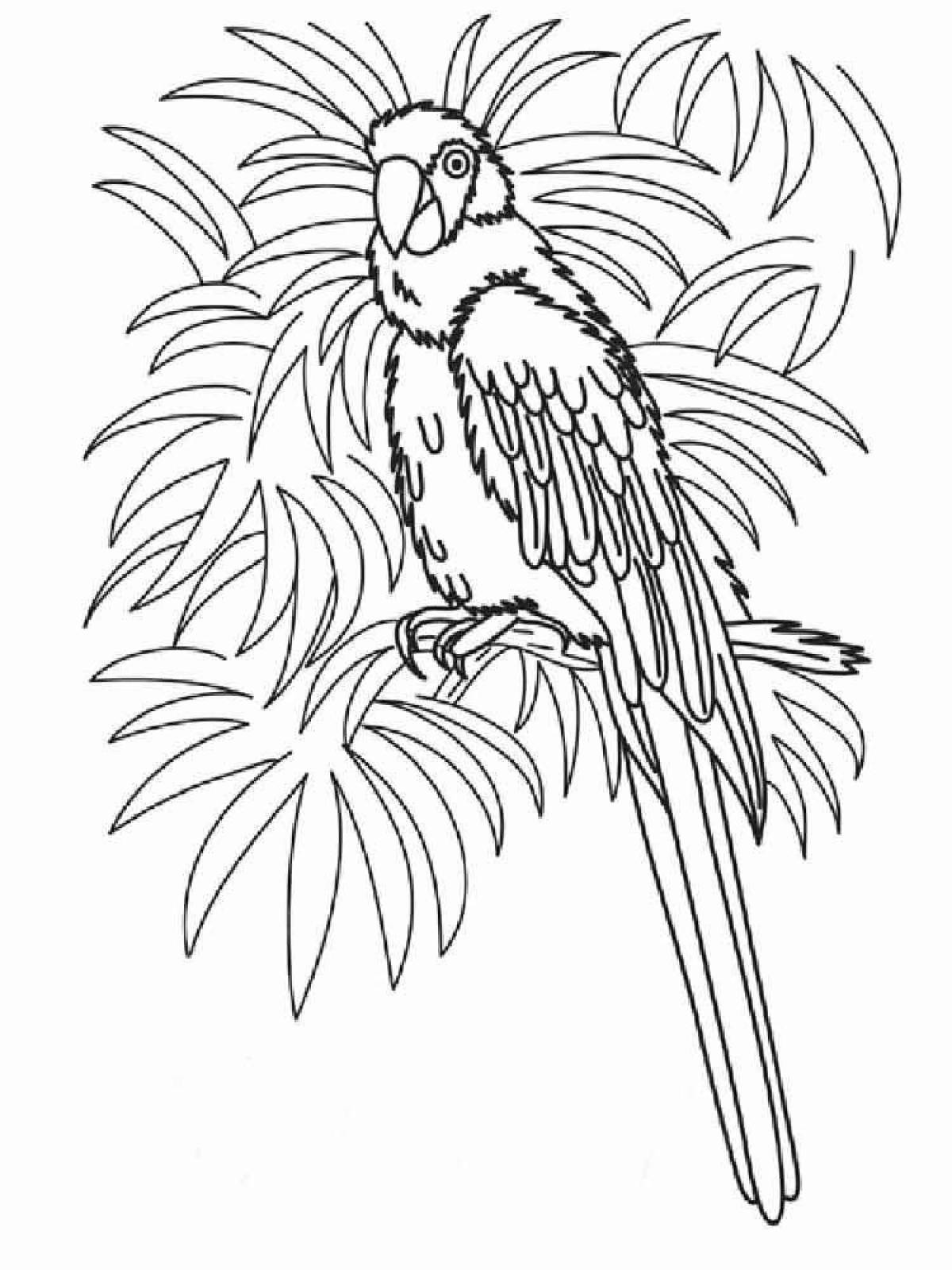 Exquisite parrot coloring book for kids