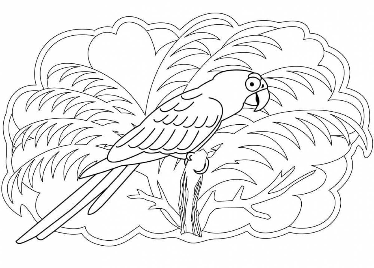 Exciting parrot coloring book for kids