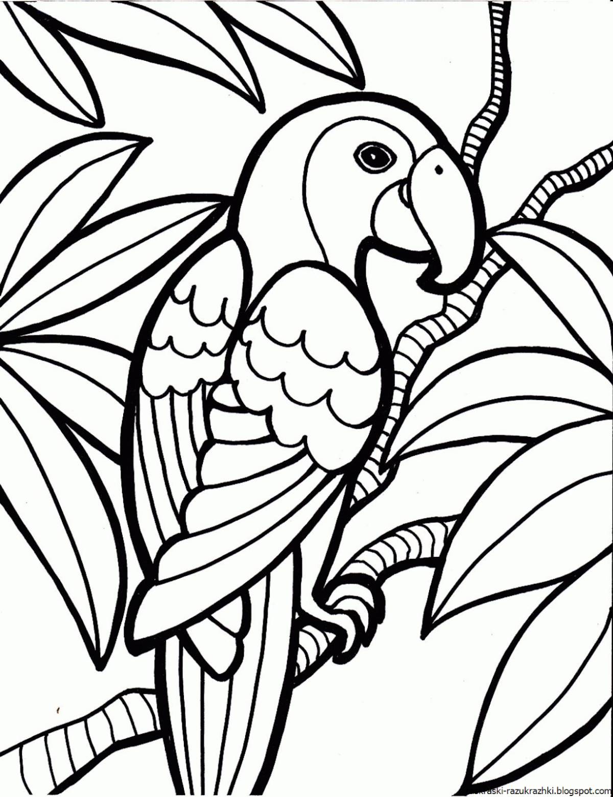 Уникальная раскраска попугай для детей