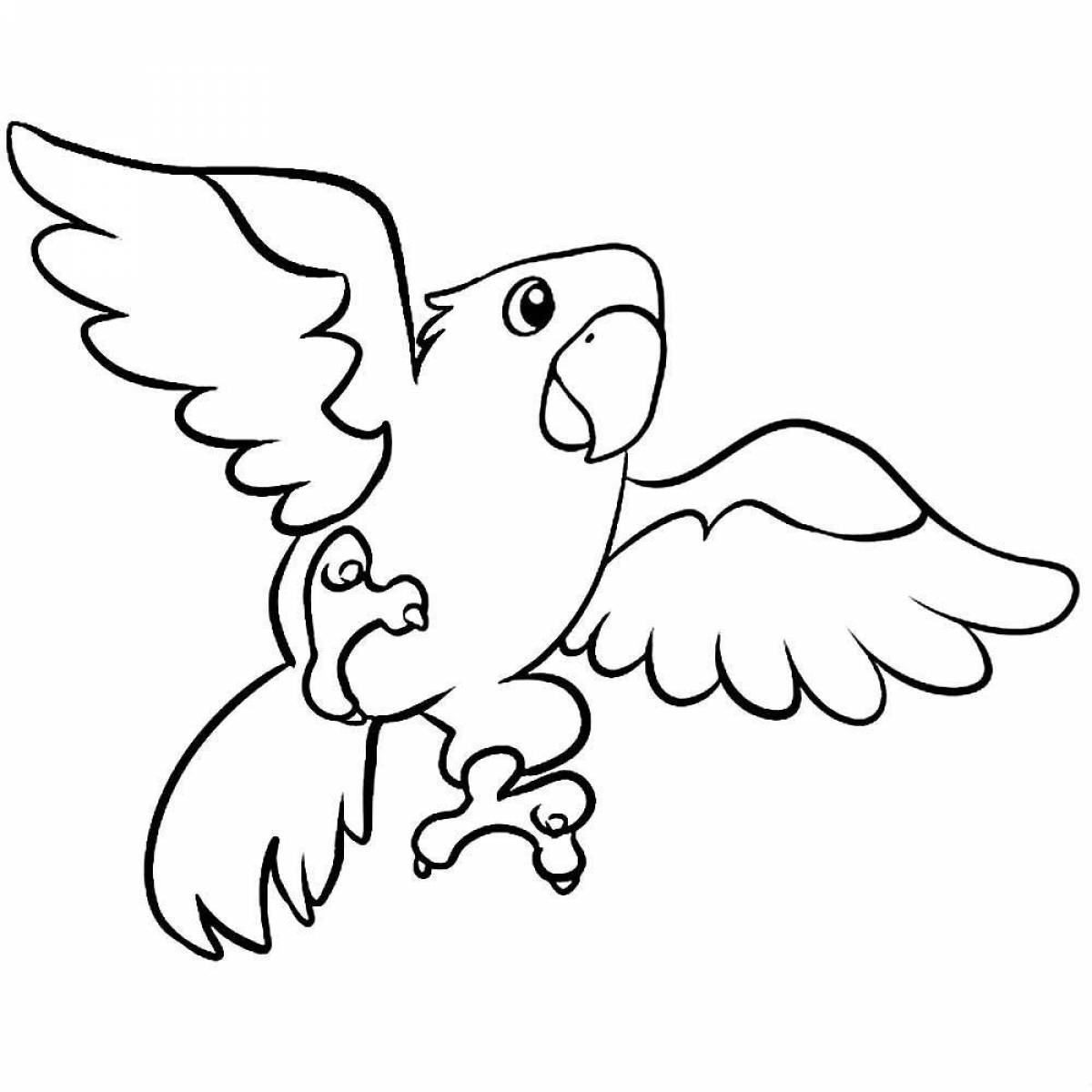 Креативная раскраска попугай для детей