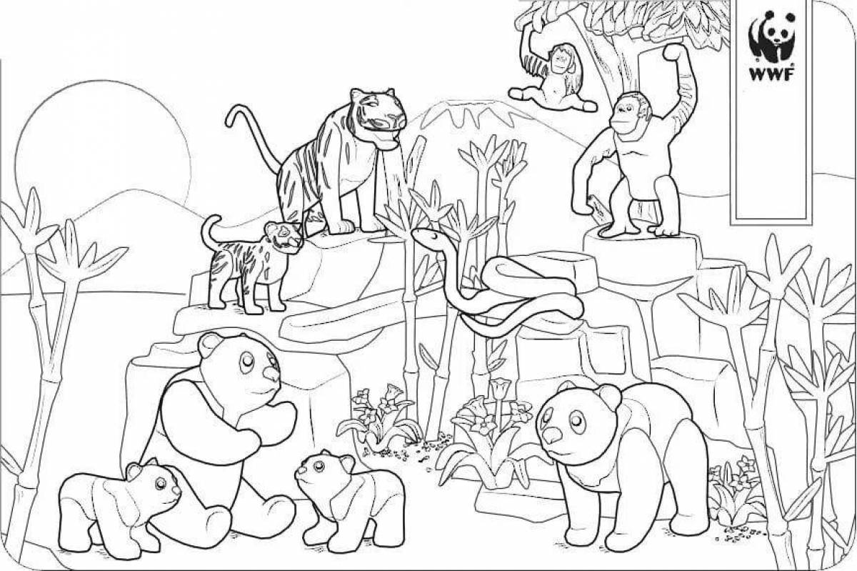 Zoo fun coloring book