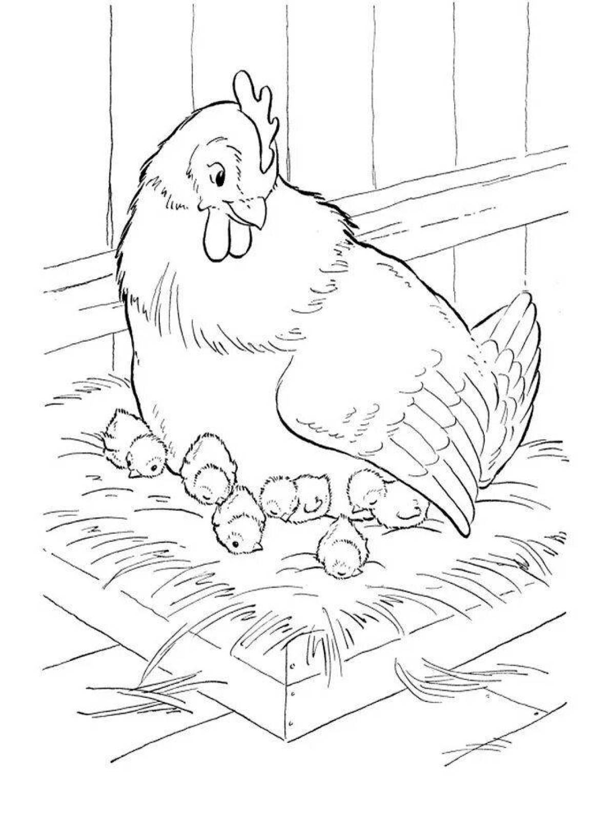 Animated chickens coloring book