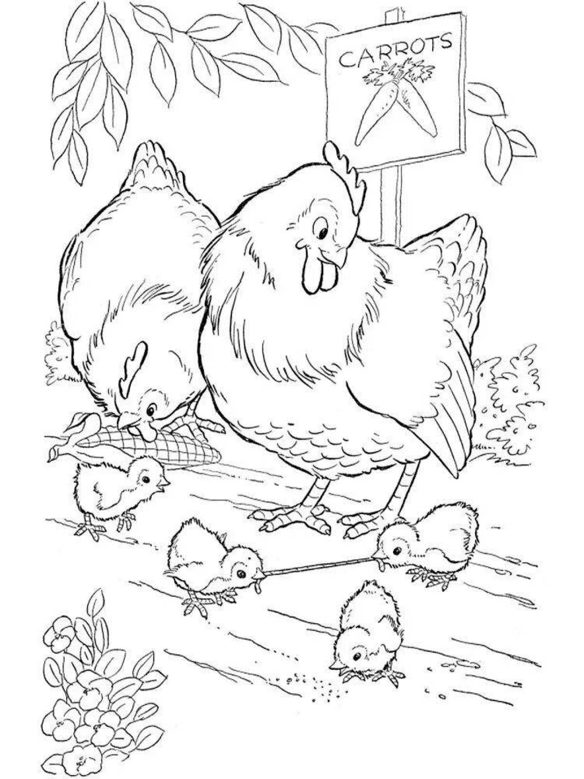 Раскраска пернатые цыплята