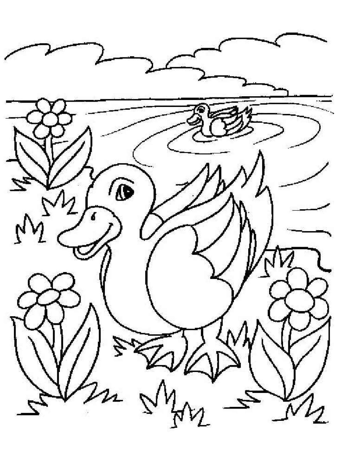The amazing coloring book you have