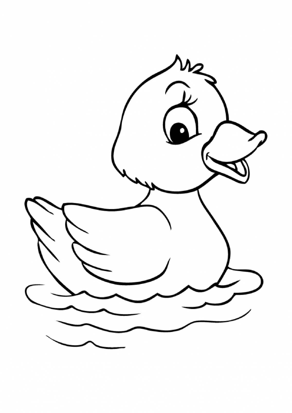 Duck #8