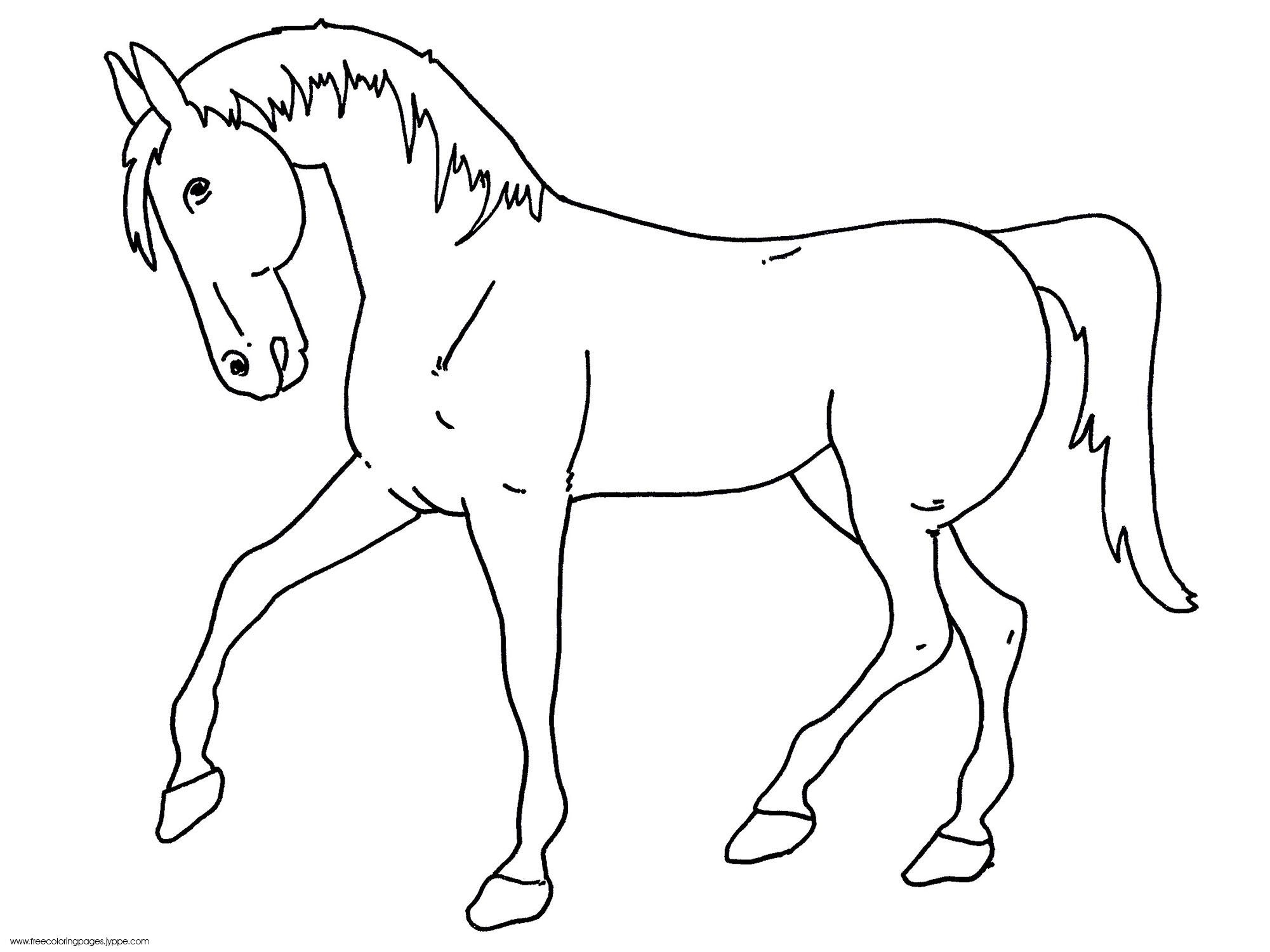 Сияющая раскраска лошадь для детей